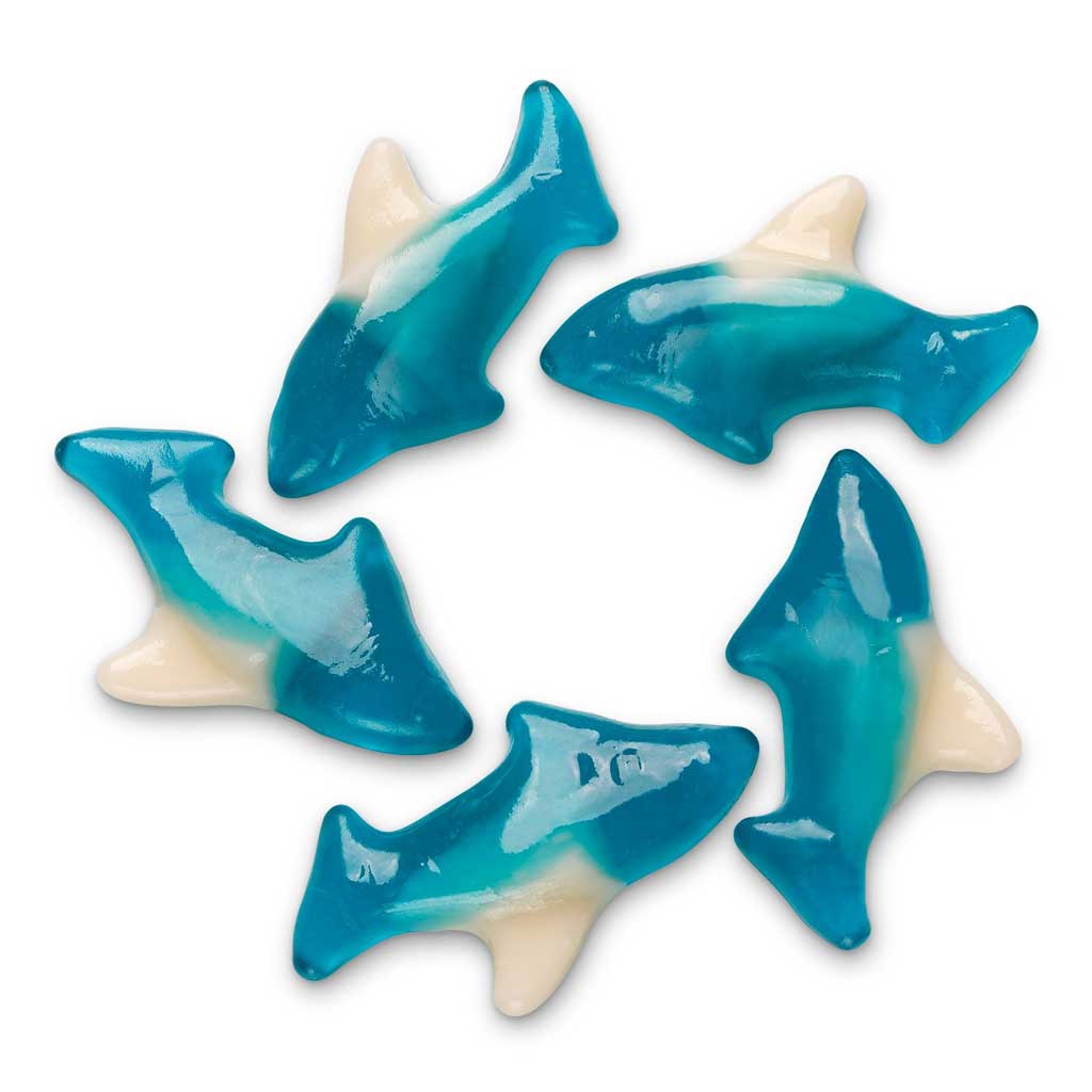 Gummy Sharks Confection - Nibblers Popcorn Company