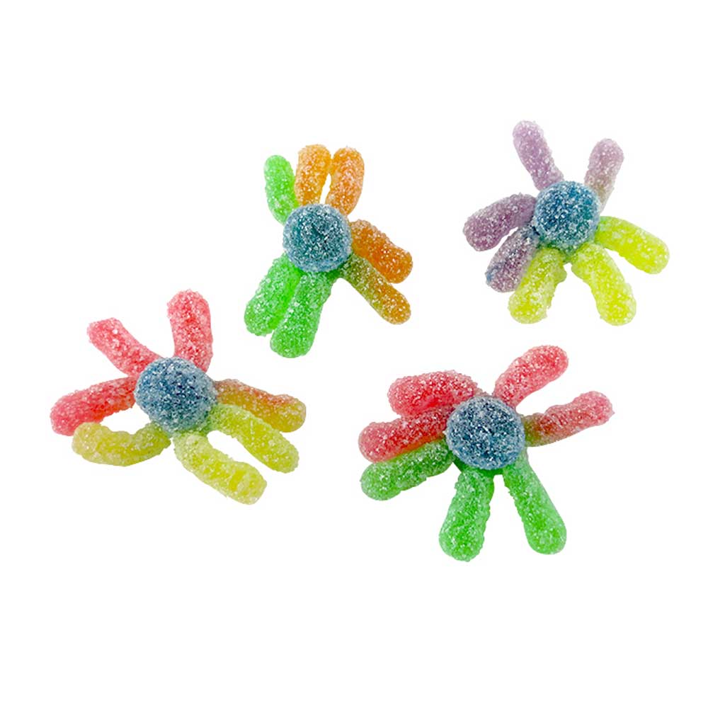 Gummy Sour Octopus Confection - Nibblers Popcorn Company